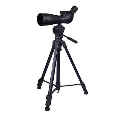 NSO Djupadal 20-60x80 ED + Benro T980