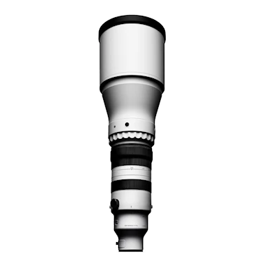 Sigma 300-600mm f/4 DG OS Sports SONY E/FE
