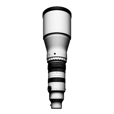 Sigma 300-600mm f/4 DG OS Sports L-Mount