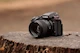 Miniatyrbild för bild №4