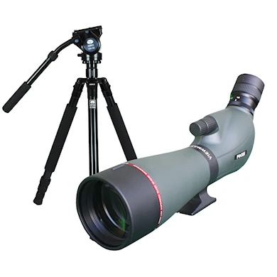 Focus Viewmaster ED 20-60x80 + Sirui R-2004+VH10