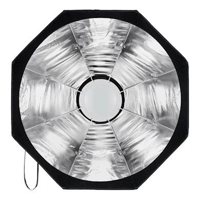 profoto Beauty Dish Silver