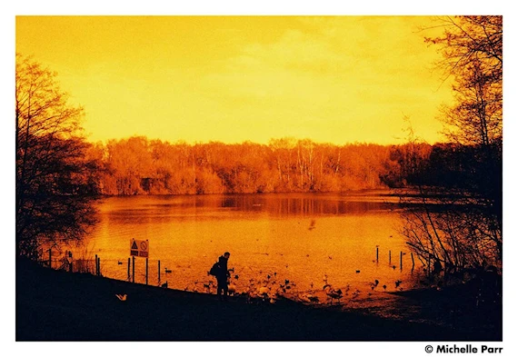 Bild №5