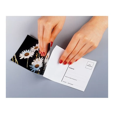 Hama Vykortsbaksida 10x15cm Display 10st