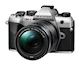 Miniatyrbild för bild №3