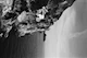 Miniatyrbild för bild №8