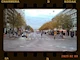 Miniatyrbild för bild №25