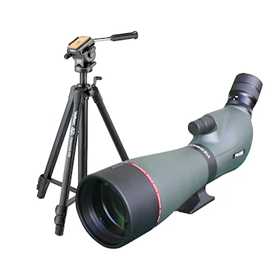 Focus Viewmaster ED 20-60x80 + Velbon Videomate 638