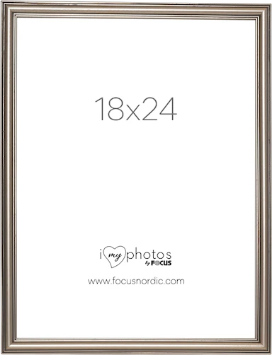 Focus Tango 18x24 Silver