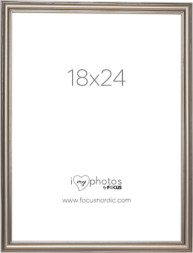 Focus Tango 18x24 Silver