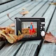 Miniatyrbild för bild №8
