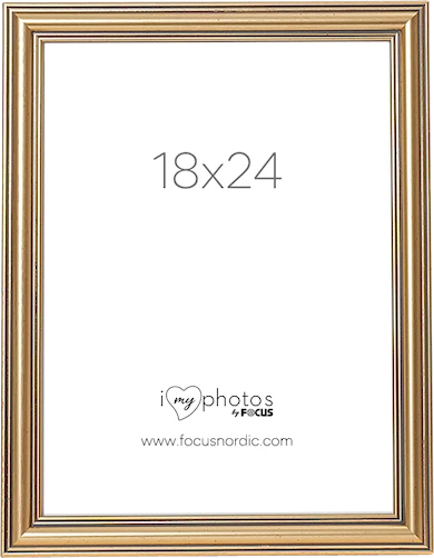 Focus Tango 18x24 Classic Guld