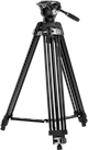 Miniatyrbild för bild №2
